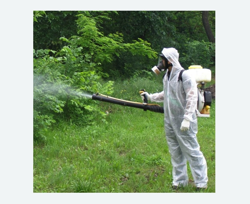 обработка территории от клещей в Кольчугино