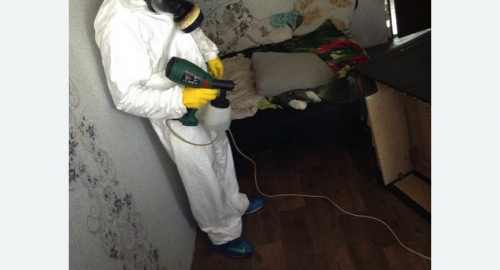 Обработка квартир от насекомых в Кольчугино