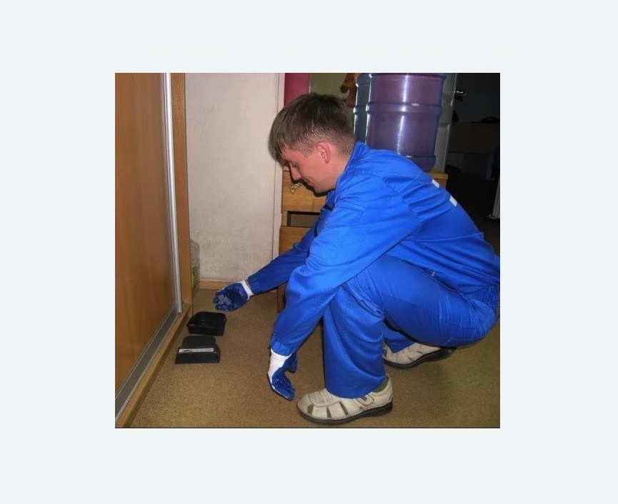 Дератизация крыс в Кольчугино