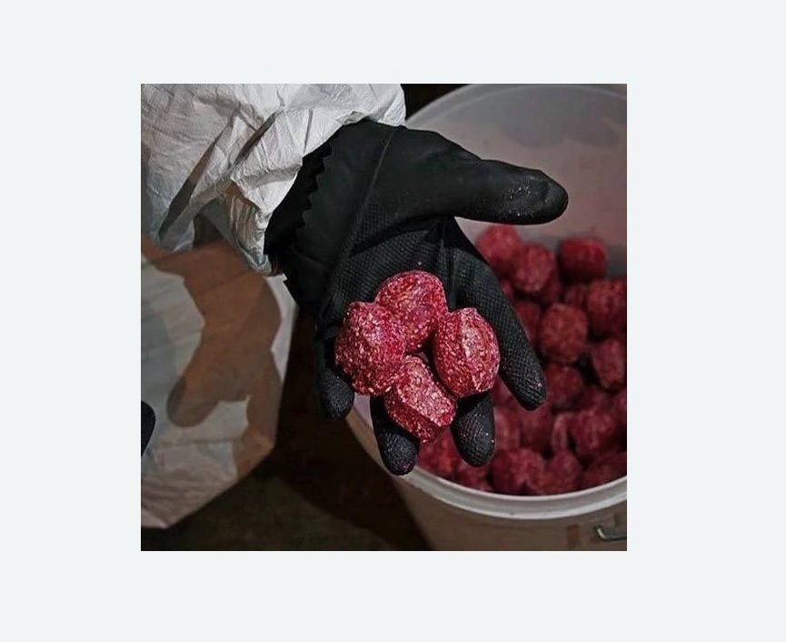 Обработка от крыс в Кольчугино