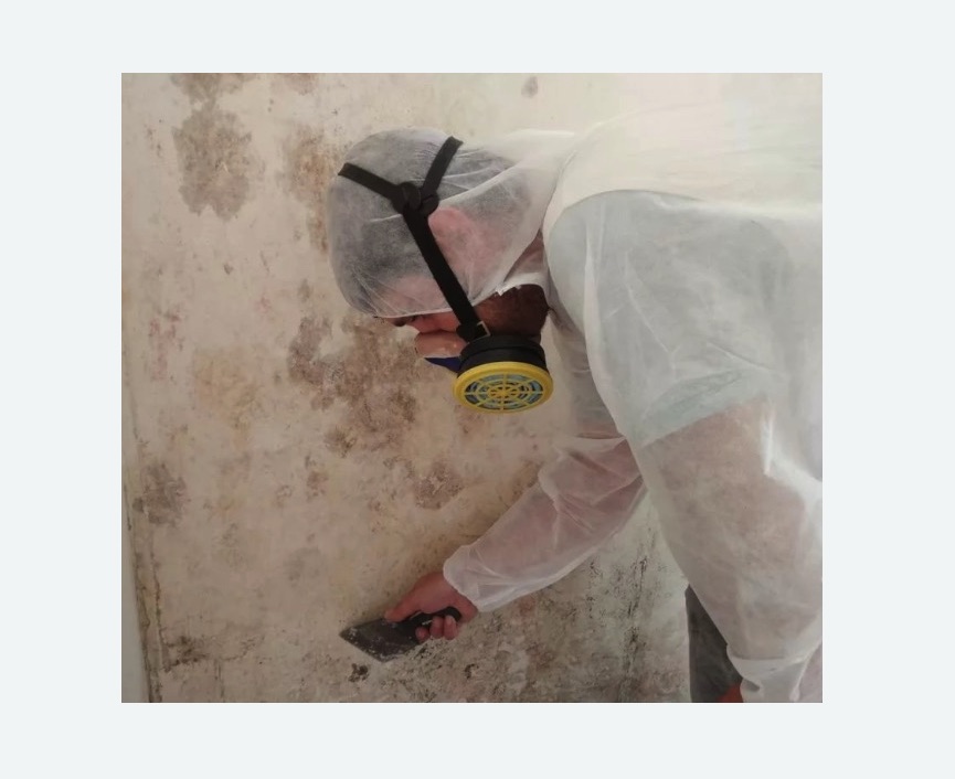 Обработка стен от плесени в Кольчугино