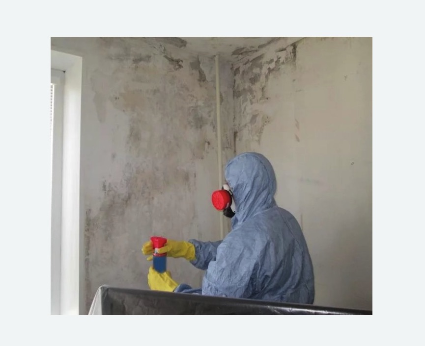 Удаление плесени в квартире в Кольчугино
