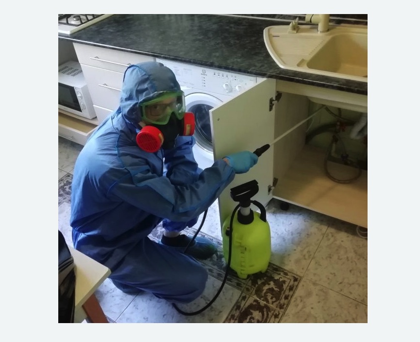 обработка от муравьев в квартире в Кольчугино