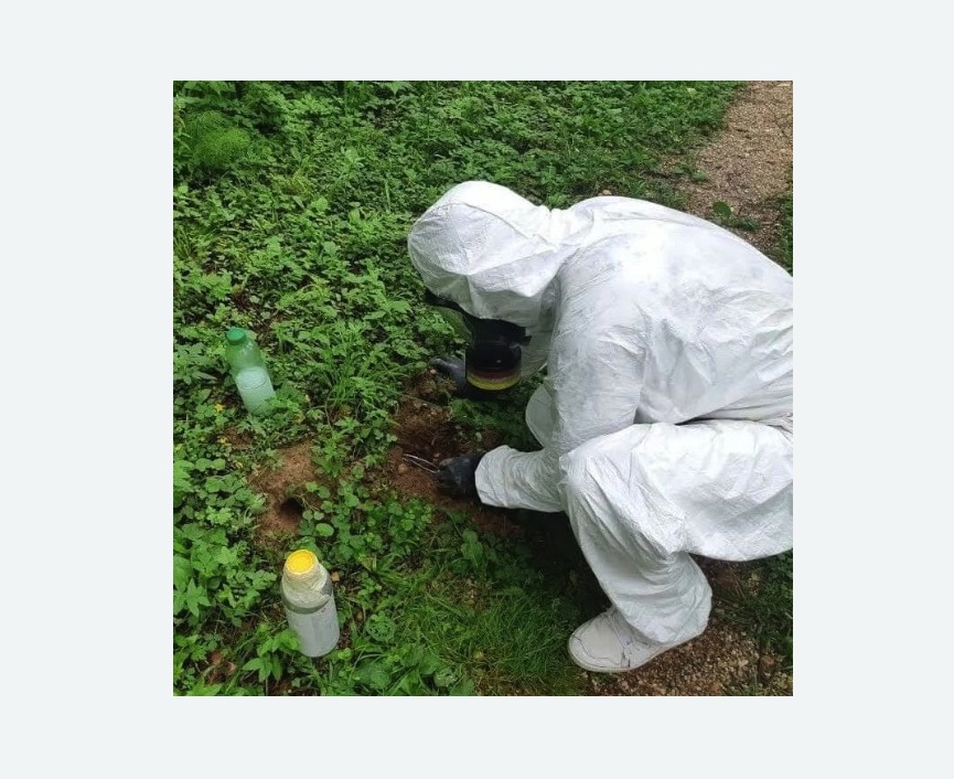 уничтожение кротов на участке в Кольчугино