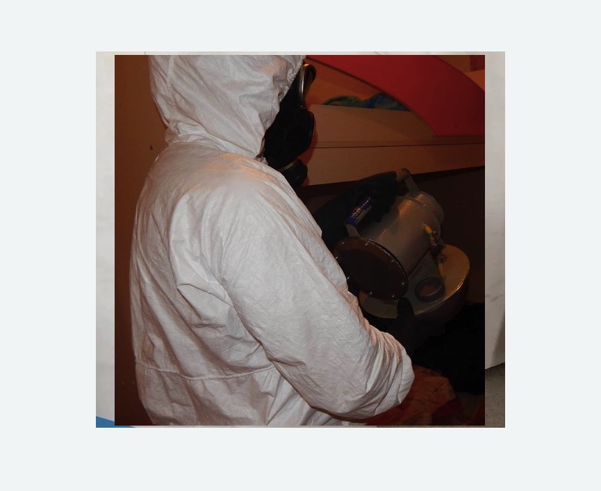 Дезинфекция от муравьев в Кольчугино