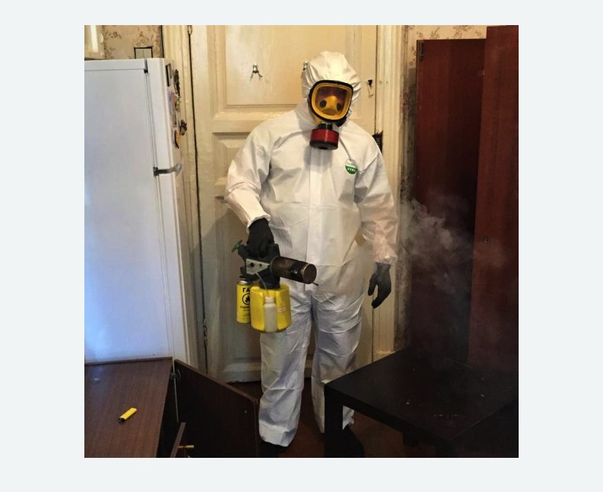 уничтожение муравьев в квартире в Кольчугино